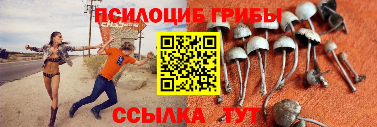 Псилоцибиновые грибы Magic Shrooms  Вход с VPN  Верхняя Салда 